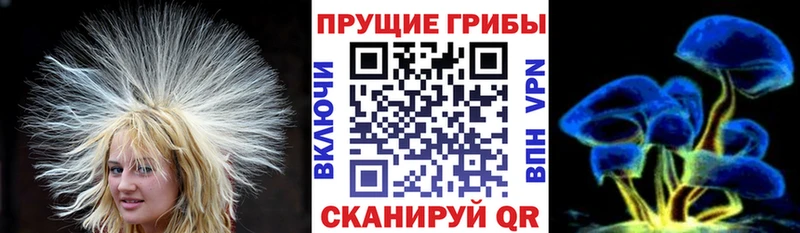 kraken рабочий сайт  Вилюйск  Псилоцибиновые грибы MAGIC MUSHROOMS 